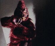 Anthropoid ape.jpg (267 KB) Unnamed anthropoid ape