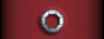 Sleeve insignia.