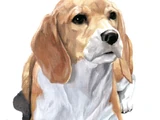 Porthos