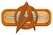 Starfleet badge image.
