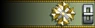 Shoulder insignia.