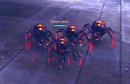 Carrion spiders.