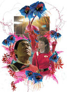 Story image.