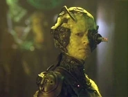 Borg drone, Seven of Nine.