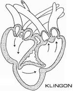 QuchHa'-Klingon heart