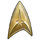 Starfleet badge.