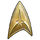 Starfleet emblem.