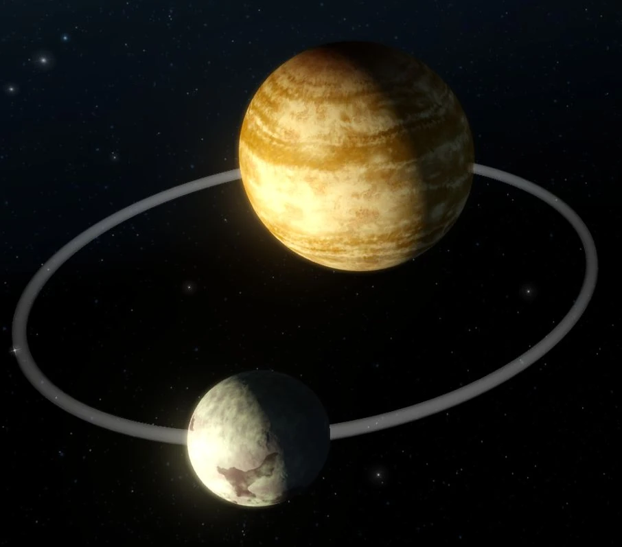 TOO ベロアガウン　moon tree planet TOO - BACKY black | MOON TREE PLANET