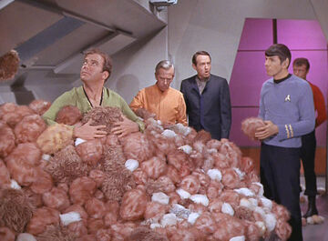 The Trouble with Tribbles | Memory Beta, non-canon Star Trek Wiki