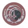 Confederation of Earth icon image.