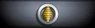 Sleeve insignia.