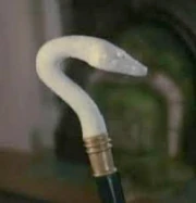 An ophidian disguised as a cane.
