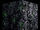 Borg scout