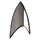 Section 31 badge