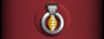 Sleeve insignia.