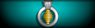 Sleeve insignia.