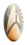 Starfleet icon image.