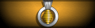 Sleeve insignia.