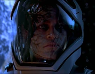 Hawk assimilated.jpg (143 KB)