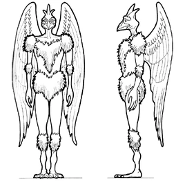 Aurelian drawing Pocket Books