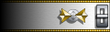 Uniform rank insignia