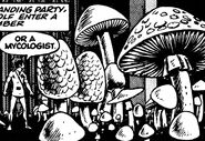 LA5-giant-mushrooms