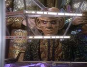 Quark and chula