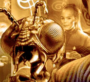 NFCTCaptains2.jpg (196 KB) Captains.