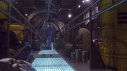 The Catwalk
