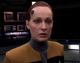 Ensign Targus