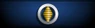 Sleeve insignia.