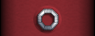 Sleeve insignia.