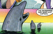 DoH-dolphins
