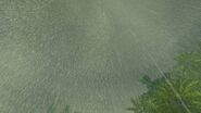 Rain.