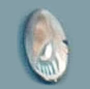 3189LTJG.jpg