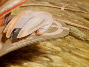 Shuttle7-probert-homesoil.jpg