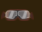 Pilot Glasses.png