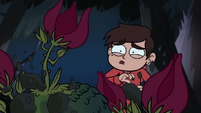 S1E9 Marco watches the roses come alive