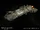 Fury-class Gunship
