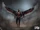 Falcon