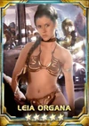 Leia 1st