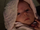 Baby leia.png