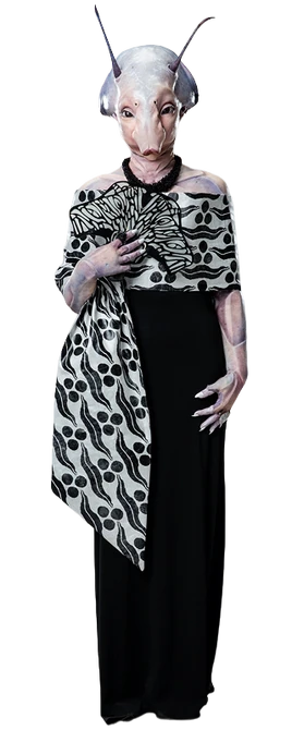 Nobilllian-HNtGEbEaOGSS