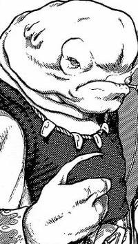 Sehvorah appearance 