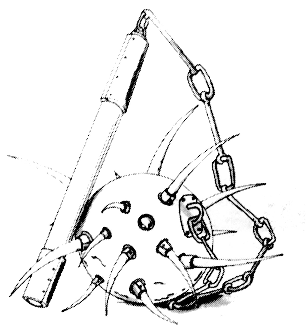 Dematoil appearance in Common Appearance