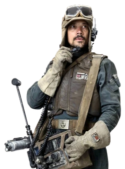 Ruescott-Melshi-SWCT