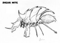 Shear mite concept art