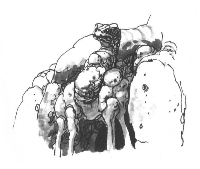 Heep-heep appearance 