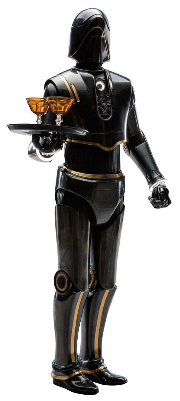 SE8 waiter droid appearance in Common Appearance