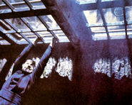 Luke rancor pit grate.jpg (445 KB) Luke hangs above the rancor pit